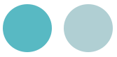 <span style="font-weight:100!important;padding-right:5px">/</span> Tonos del agua