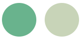 <span style="font-weight:100!important;padding-right:5px">/</span> Tonos del agua