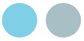 <span style="font-weight:100!important;padding-right:5px">/</span> Tonos del agua