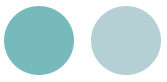 <span style="font-weight:100!important;padding-right:5px">/</span> Tonos del agua